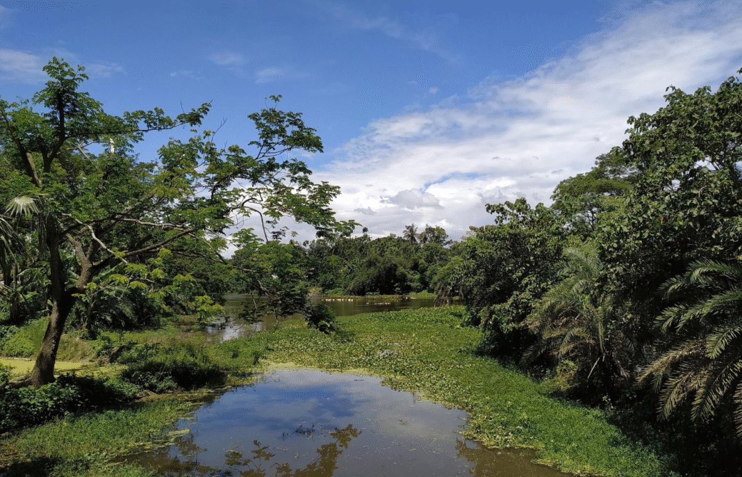 বেত্রবতী নদী: ইতিহাস, প্রবাহ ও হারিয়ে যাওয়া স্মৃতির জলছবি