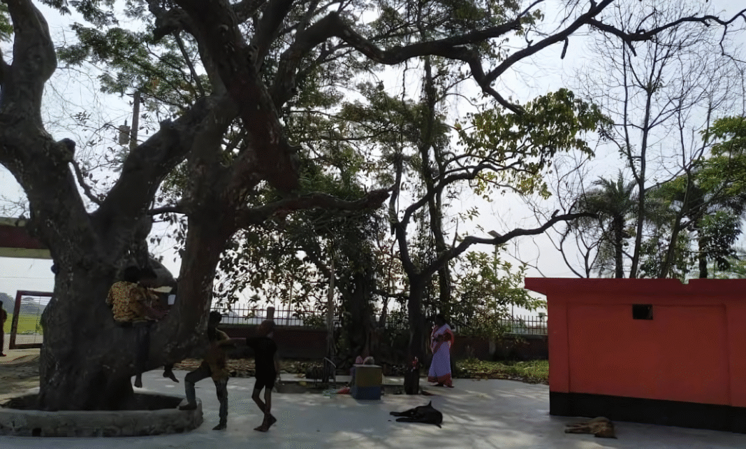 শাহ মান্দারতলা: যশোরের আধ্যাত্মিক তীর্থভূমি ও শান্তির ঠিকানা