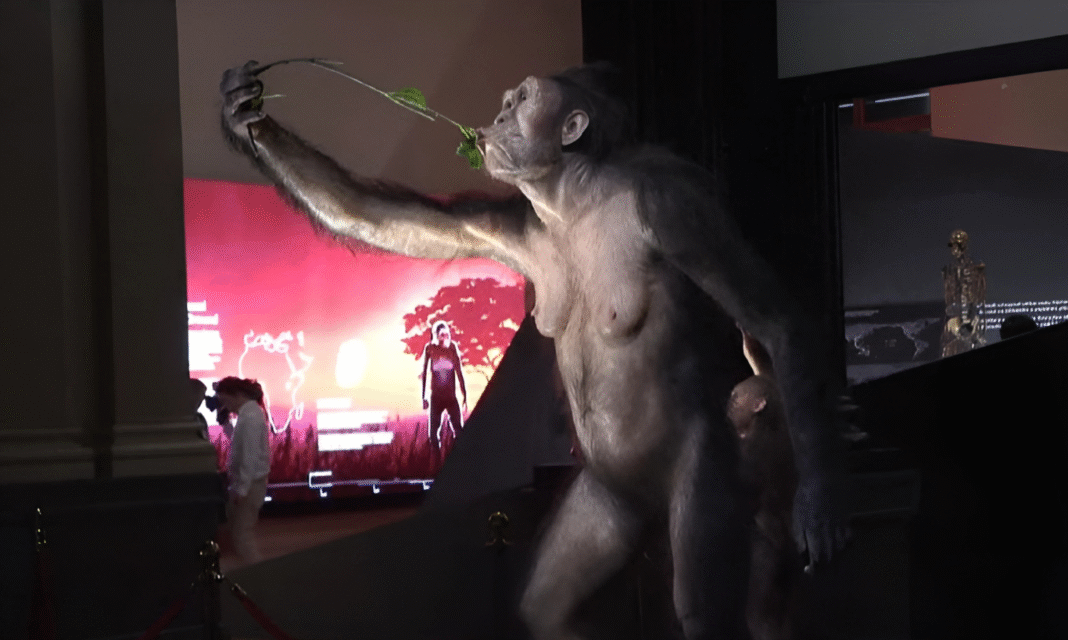 ইউরোপে প্রথমবারের মতো মানুষের পূর্বপুরুষ লুসির প্রদর্শনী