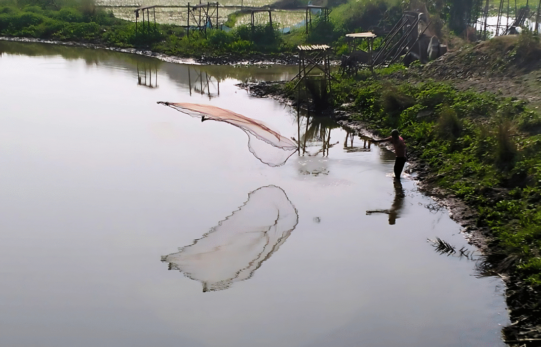 দশপাখিয়া—নৌকাভ্রমণ, বিল আর নামকরণের এক রোমাঞ্চকর স্মৃতি