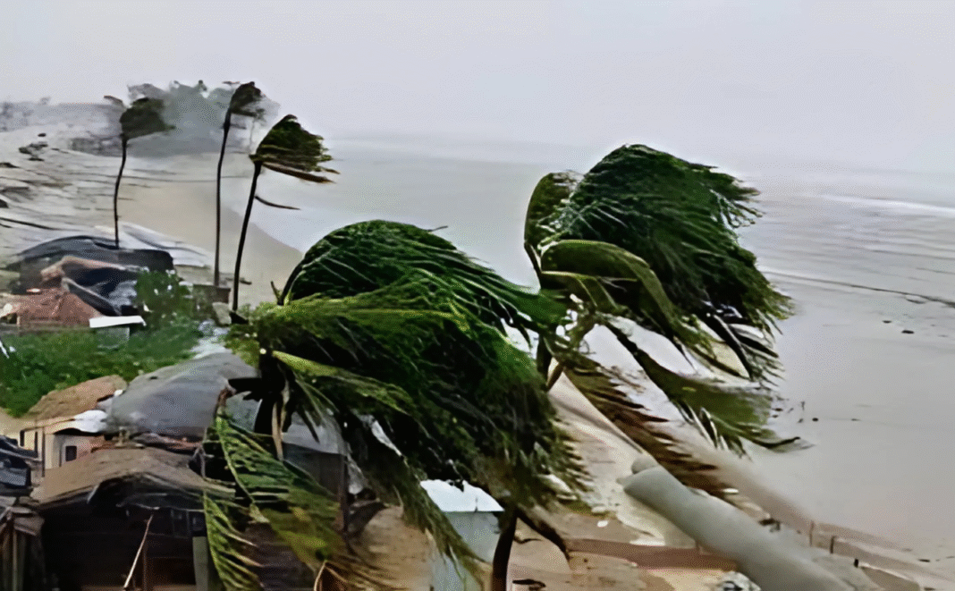 ৭ জেলায় ঝড়ের শঙ্কা: দুপুরের মধ্যে বজ্রবৃষ্টির সম্ভাবনা