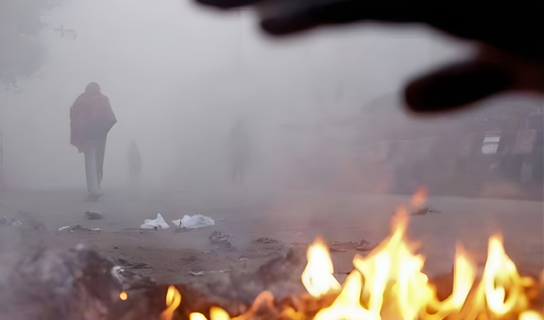 কলকাতায় মরসুমের শীতলতম দিন: আরও নামল পারদ, জেলায় জেলায় শীতের দাপট চরমে