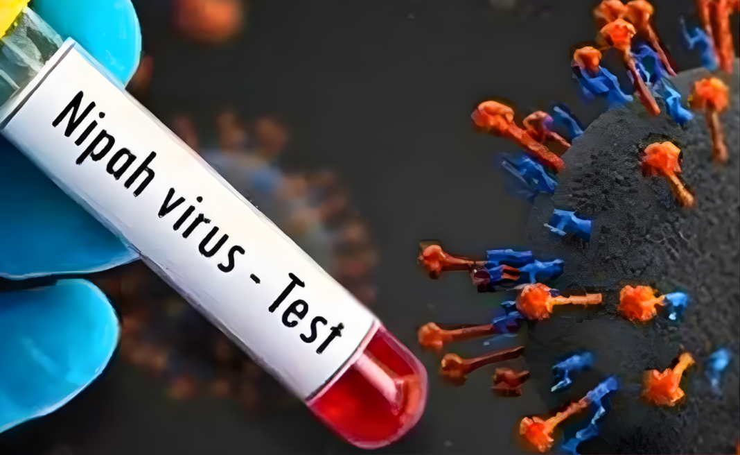 পশ্চিমবঙ্গে নিপা ভাইরাস আতঙ্ক: দুই নার্স হাসপাতালে ভর্তি, ভেন্টিলেশনে চিকিৎসা, রাজ্যজুড়ে সতর্কতা জারি
