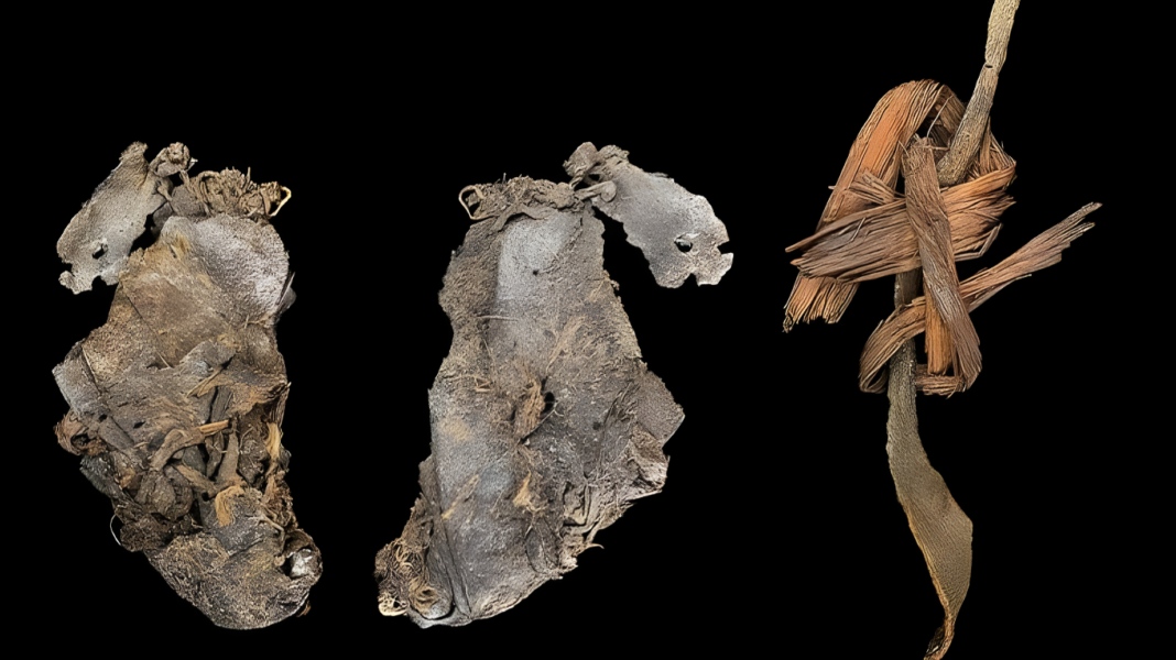 পৃথিবীর সবচেয়ে পুরনো সেলাই করা জামা! ইতিহাস বদলে দিল এই আবিষ্কার